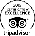 Files-1.png