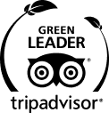 Files-2.png