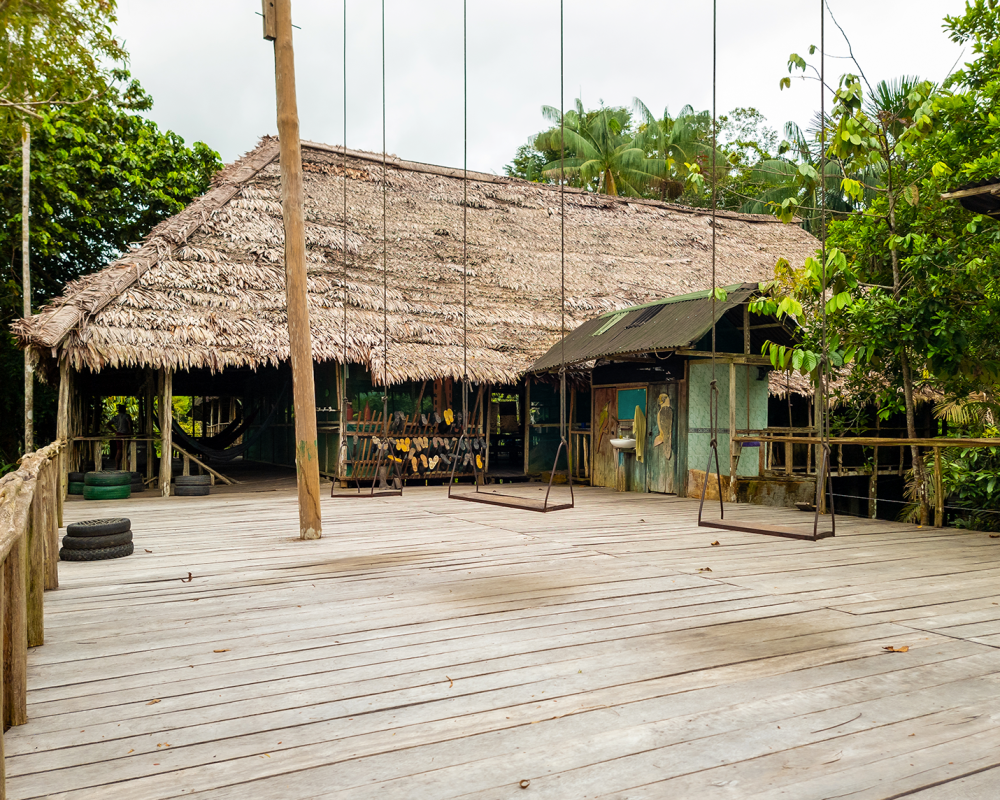 010_Palmari_Amazonas