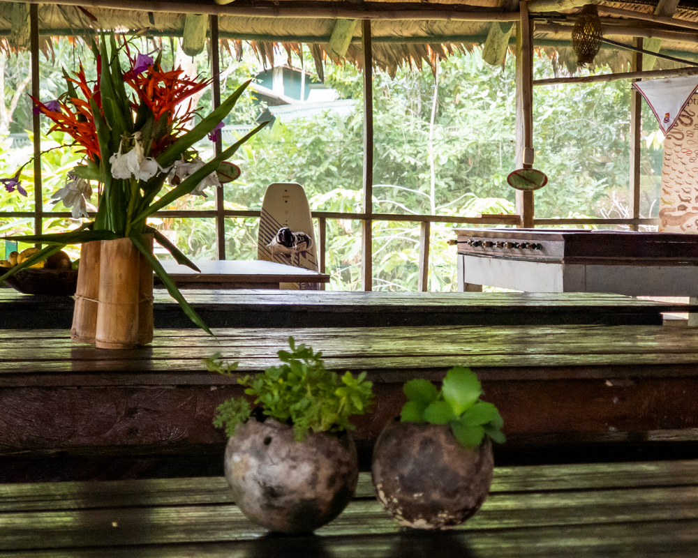 011_Palmari_Amazonas