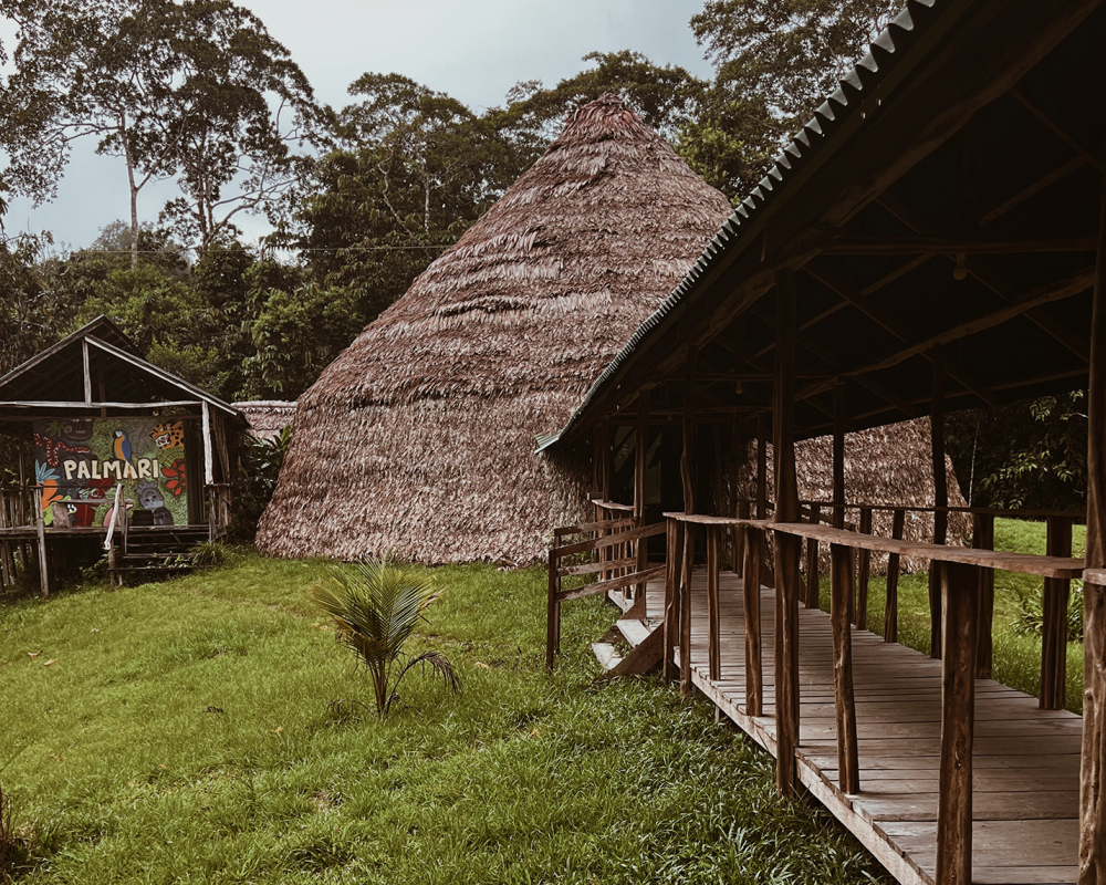 012_Palmari_Amazonas