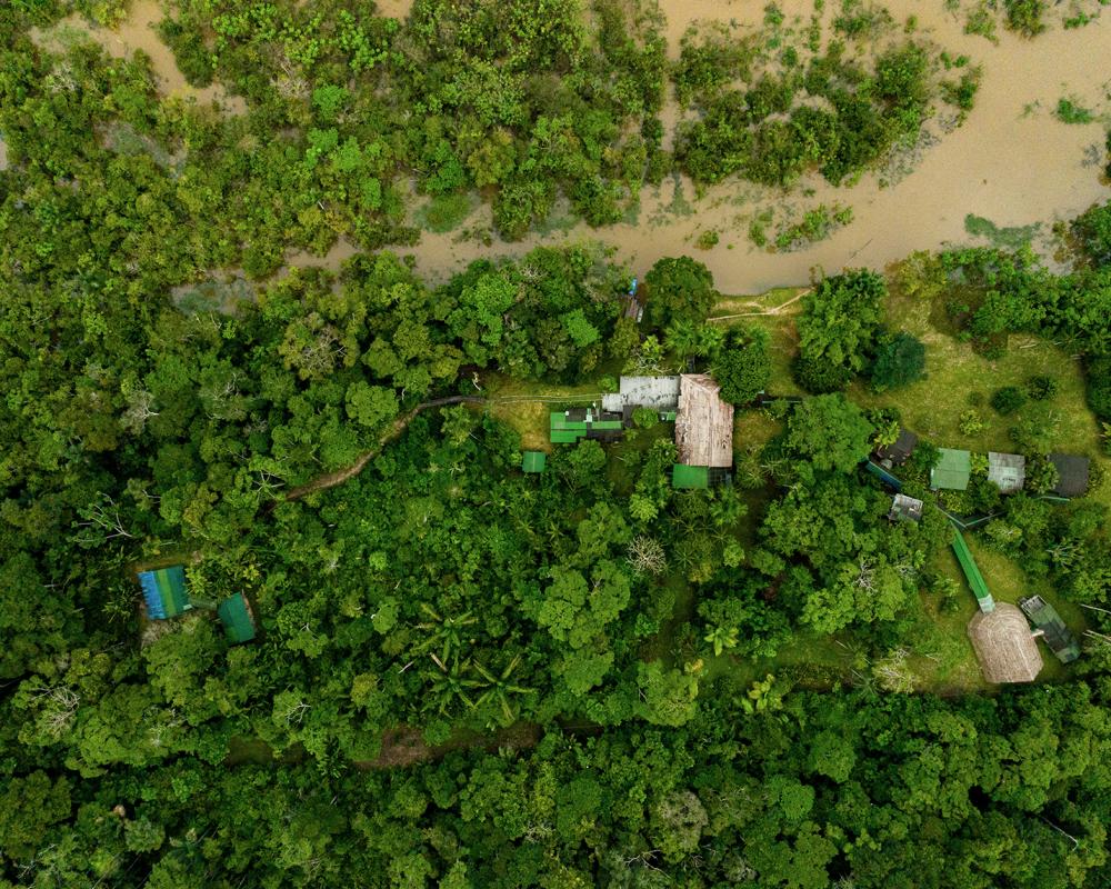 013_Palmari_Amazonas
