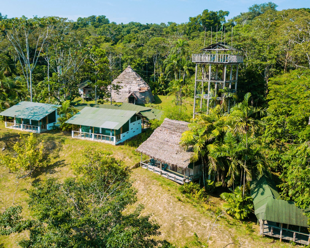 014_Palmari_Amazonas